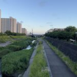 ご近所散歩