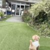 茅ヶ崎市『Organic Garden』
