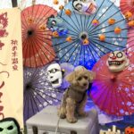 10th Birthday 長野・山梨旅行②