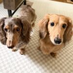 のんびりな１日