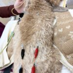 不調続き…でも元気！！