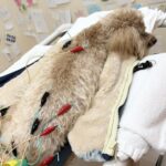 これで完璧！！