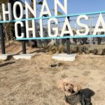 『道の駅　湘南ちがさき』