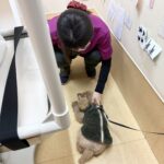 冬のメンテナンス