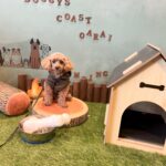 仙台〜茨城旅行③