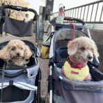 久しぶりの再会