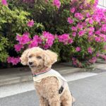 とうたんのいない週末