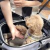 メンテナンスでバッチリ！！