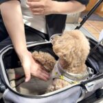 メンテナンスでバッチリ！！
