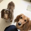 たくさん甘えてのんびり