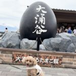 箱根旅行 ①