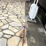 慢性気管支炎
