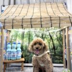 南町田グランベリーパーク