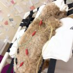 週末はメンテナンスへ