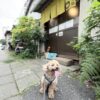 鎌倉市『腰越珈琲』