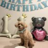 ☆11th Birthday☆