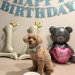 ☆11th Birthday☆